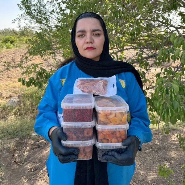 پک اقتصادی